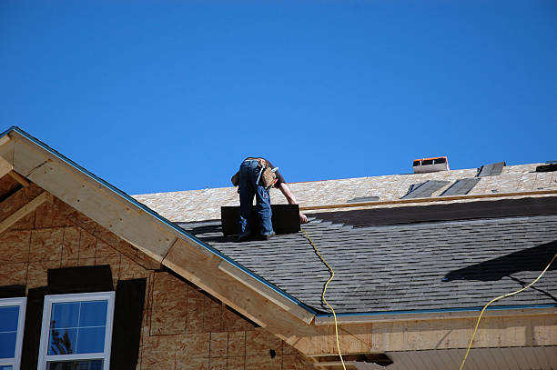 Best Shingle Roofing Installation  in Telford, TN